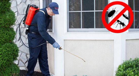 Akyazı Pire İlaçlama böcek ilaçlama ve haşere kontrolü — ilaclama-tr.com